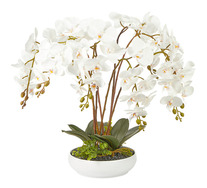 60cm Artificial Orchid Potted Plant