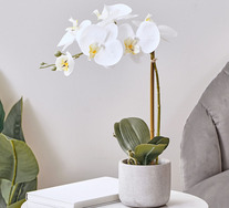 45cm Artificial Orchid