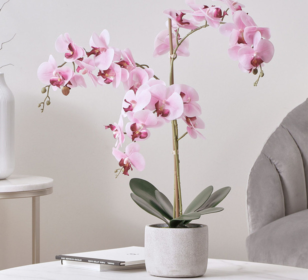70cm Artificial Orchid