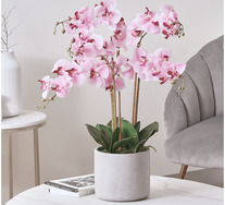 80cm Artificial Orchid