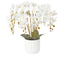 55cm Artificial Orchid Potted Plant