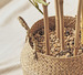 Artificial Bamboo In A Woven Basket