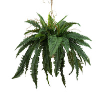 88cm Boston Fern Artificial Plant In A Hanging Planter