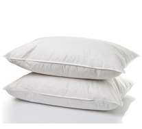 Set Of 2 Casa Decor Pillows