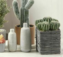 25cm Cactus Artificial Plant