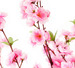 160cm Cherry Blossom Artificial Tree
