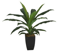 58cm Artifical Dracaena Plant