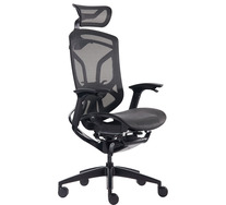 DV10 Ergonomic Gaming Chair