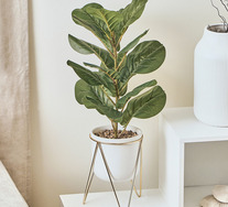 Artificial Potted Fiddle Leaf