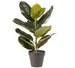 45cm Ficus Artificial Plant
