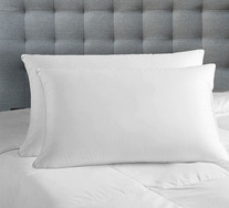 Set Of 2 Luxury Bamboo Pillows