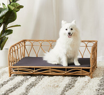 Olympia Rattan Pet Bed