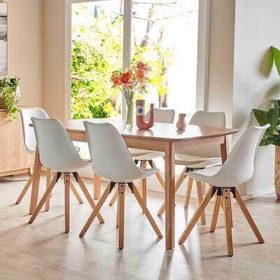 Retro 6 Seater Dining Set With Dimi Chairs