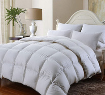 Royal Comfort Bamboo Rich Super King Quilt