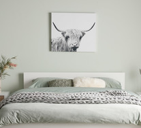 Scottish Cow Wall Art
