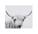 Scottish Cow Wall Art