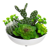 20cm Succulent Artificial Plant Assorted In A Bowl