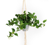 95cm String Of Hearts Artificial Plant