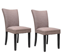 Set Of 2 Tadeo Dining Chairs