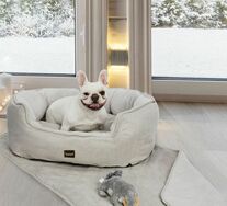Titherley 3pc Dog Bed Bundle