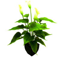 40cm White Calla Lily Artifical Plant