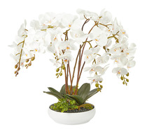 60cm White Orchid Artificial Plant